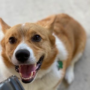 Meet your Posher, James